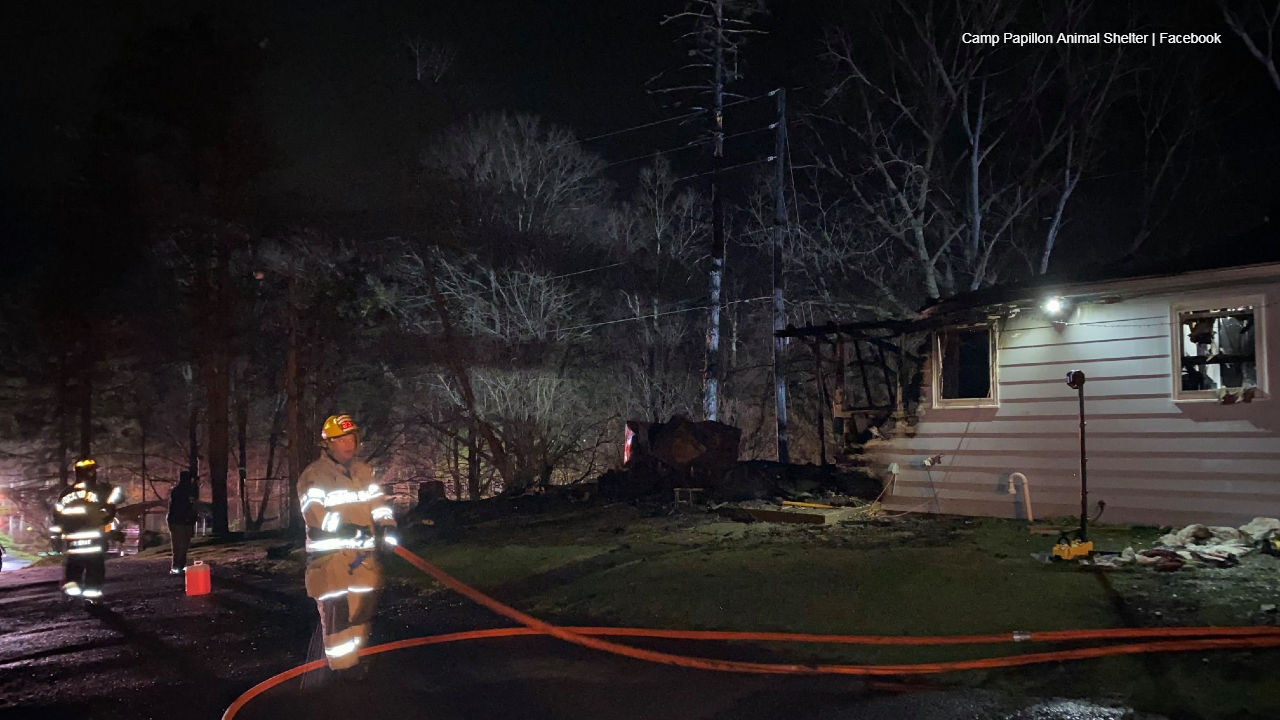 Camp Papillon Animal Shelter fire damage